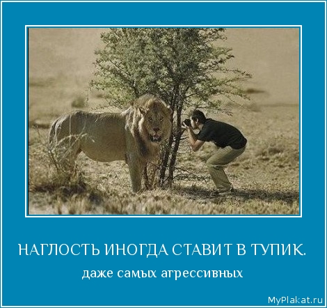 Наглость Картинки