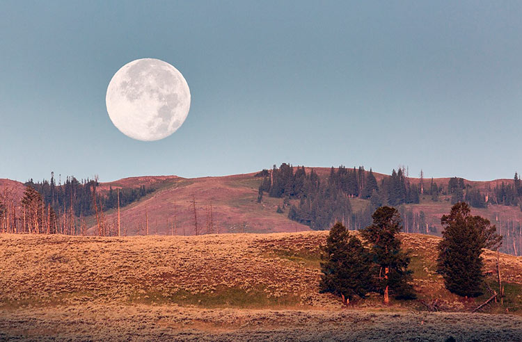 yellowstone national park