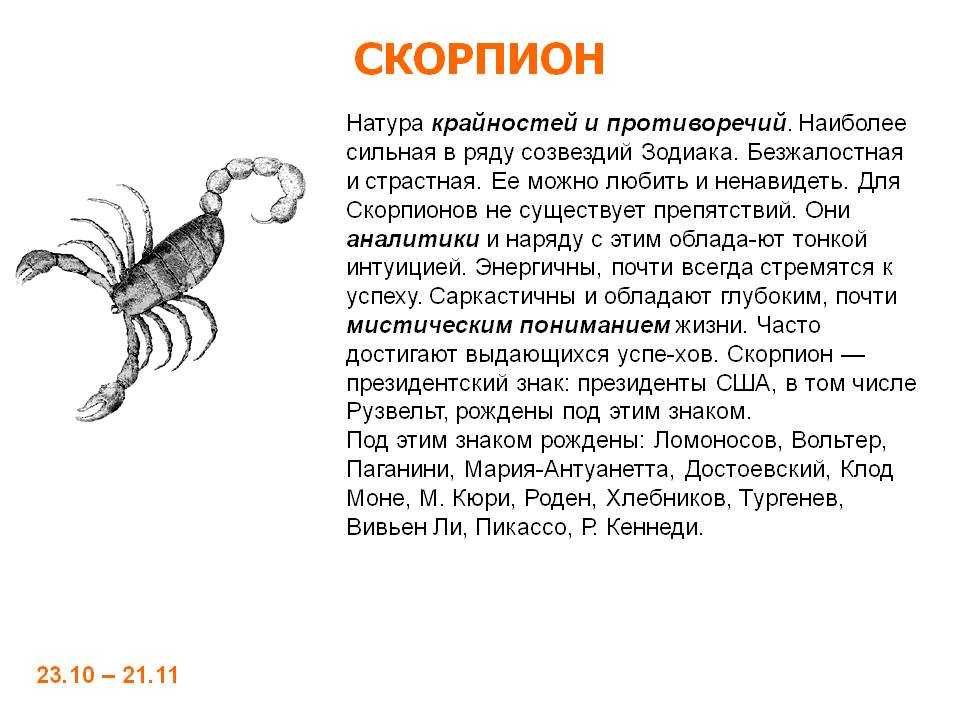 Гороскоп скорпион 2. Скорпион знак характер. Скорпион характеристика. Скорпион знак зодиака описание. Скорпион характеристика знака.
