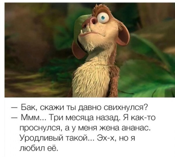 Уморительные цитаты из знаменитых мультфильмов Уморительные цитаты из знаменитых мультфильмов