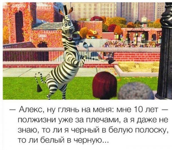 Уморительные цитаты из знаменитых мультфильмов Уморительные цитаты из знаменитых мультфильмов