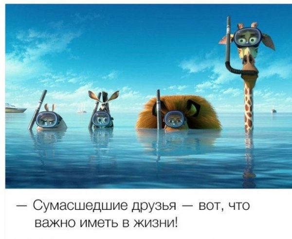 Уморительные цитаты из знаменитых мультфильмов Уморительные цитаты из знаменитых мультфильмов