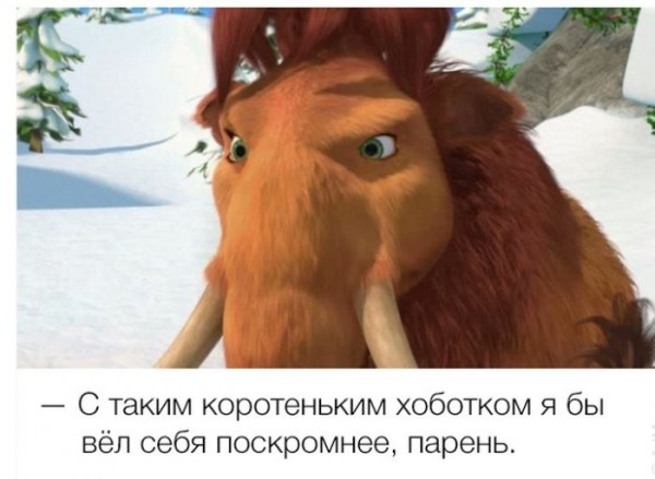 Уморительные цитаты из знаменитых мультфильмов Уморительные цитаты из знаменитых мультфильмов