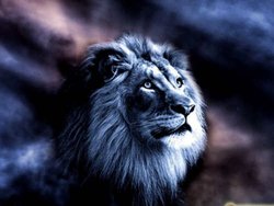 10 необычных фактов о Знаке Зодиака Лев