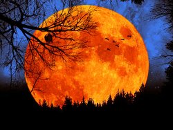 Полнолуние 28 сентября 2015 года — Четыре кровавых Луны