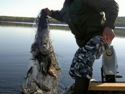 Ловить рыбу сетью во сне - что значит