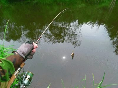 Что означает сон ловить рыбу с удочкой