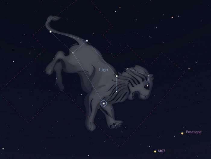 знак зодиака созвездие лев