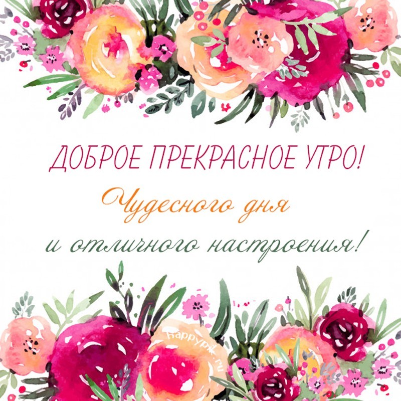 Доброе прекрасное утро