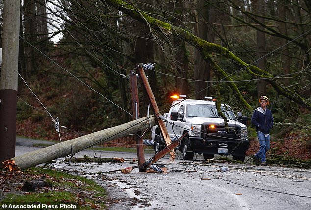A worker from Seattle City Light checks out a snapped electric power pole and downed tree closing South Alaska Street between South Columbian Way and Beacon Avenue South between the Beacon Hill and Columbia City neighborhoods of Seattle