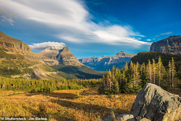 Photographer Dulé Krivdich was hiking back after visiting Hidden Lake on Monday afternoon when he spotted the creature moving through the area