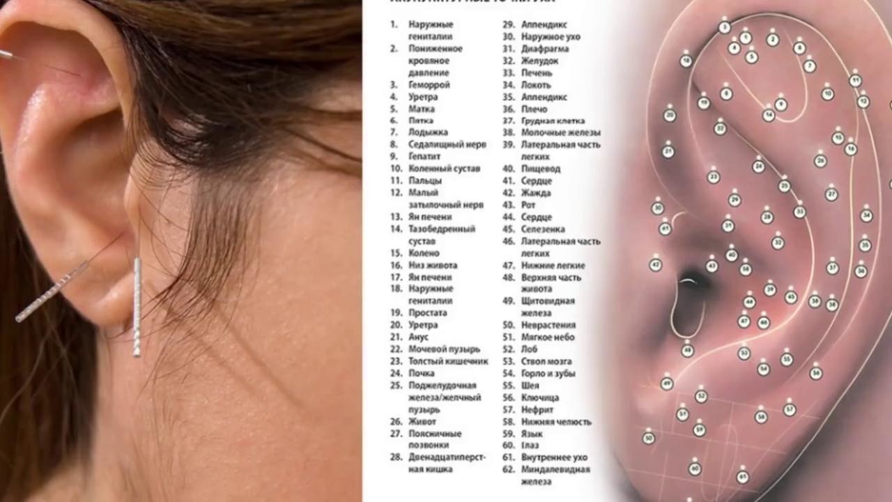 Можно колоть уши. Акупунктурные точки на ухе. Точки акупунктуры на ушной раковине.