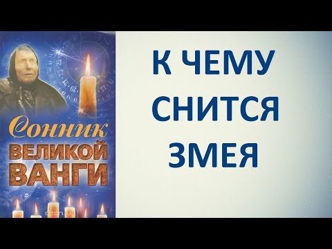 Иллюстрация 4