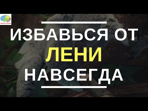 Мыслительный вид лени