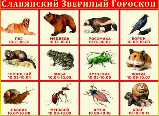 славянский звериный гороскоп
