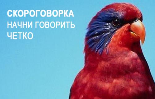 Как научиться четко и внятно говорить. Скороговорка – начни говорить чётко.