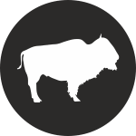 Черный буйвол: в тибетском гороскопе