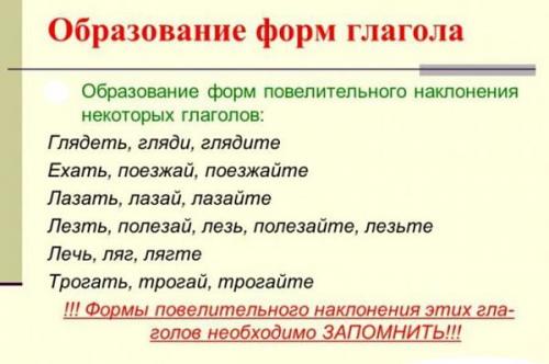 Как правильно лягте на спину. Лягте или ляжте, как правильно пишется?