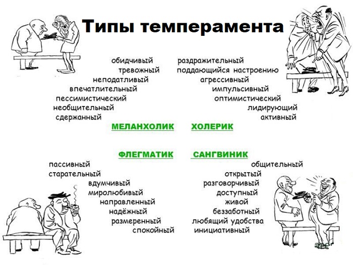 типы темперамента