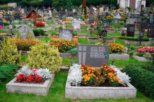 какие цветы дарят на похороны