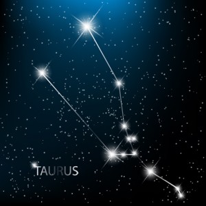 созвездия знаков зодиака2