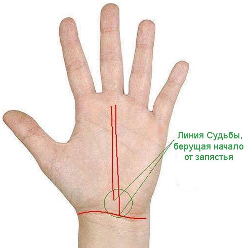 palm-signs9.jpg