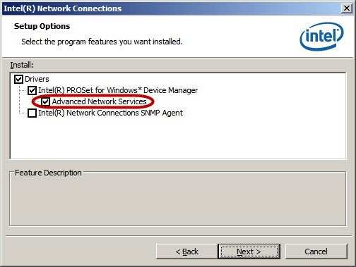 Install Intel® ANS teaming software