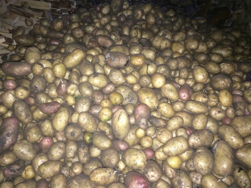 деревенская картошка