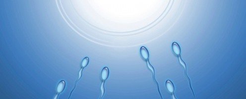 От чего зависит жизнеспособность спермы