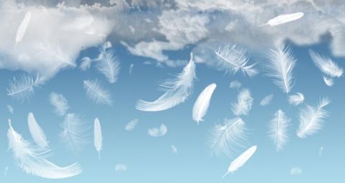 Знаки которые посылает ангел хранитель. 7 знаков, которые посылает вам ангел - хранитель.
